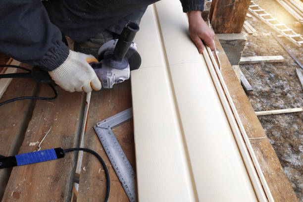 Best Vinyl Siding Installation  in Carbondale, IL